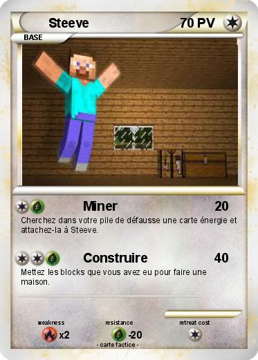 Pokemon Steeve