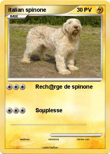 Pokemon italian spinone