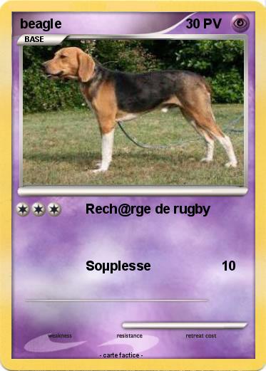 Pokemon beagle