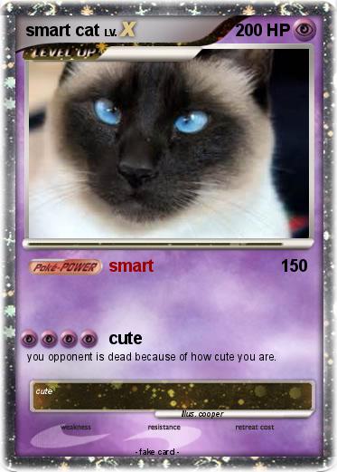 Pokemon smart cat