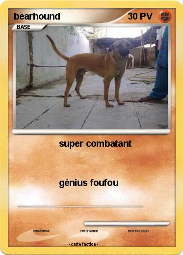 Pokemon bearhound