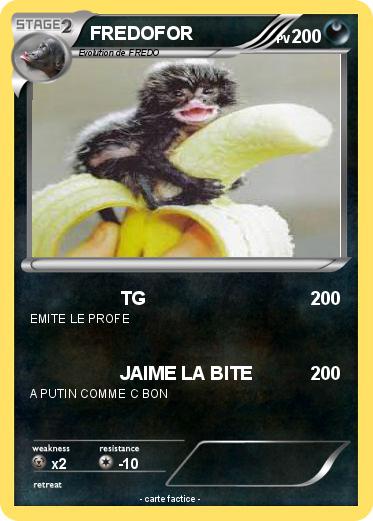 Pokemon FREDOFOR