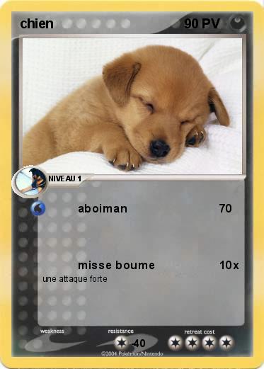 Pokemon chien 