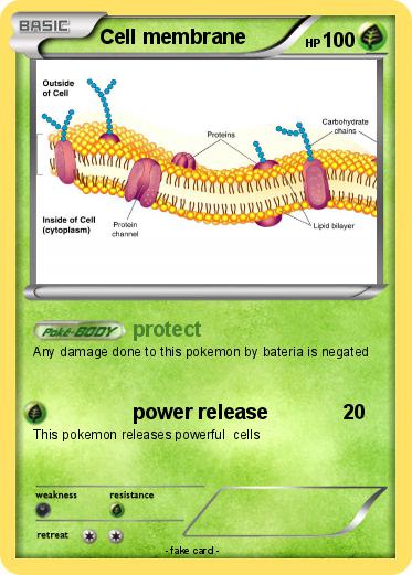 Pokemon Cell membrane