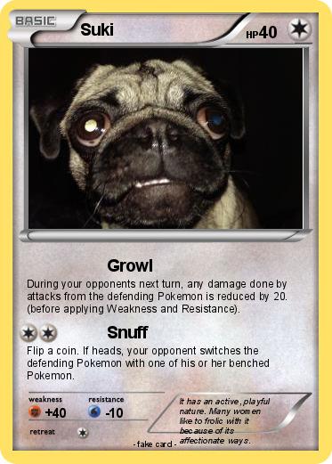 Pokemon Suki