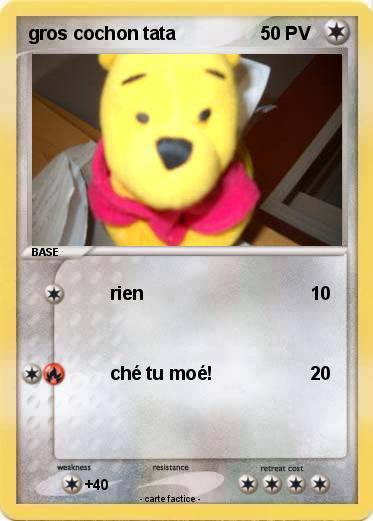 Pokemon gros cochon tata