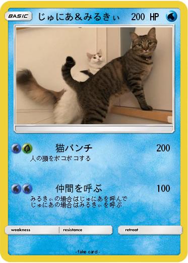 Pokemon じゅにあ＆みるきぃ