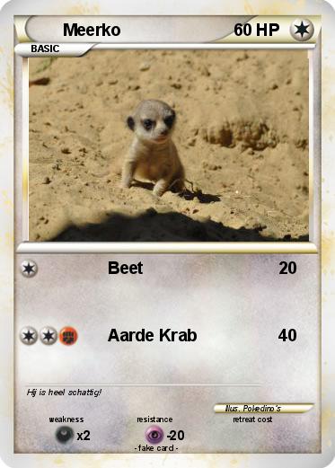 Pokemon Meerko