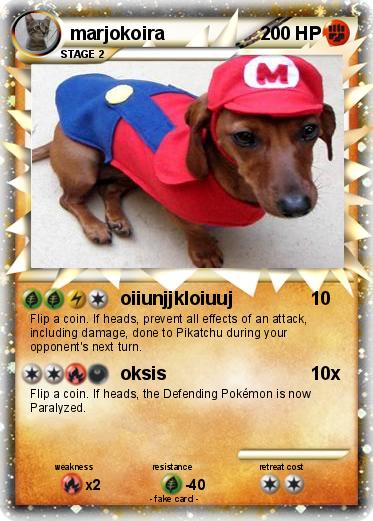 Pokemon marjokoira