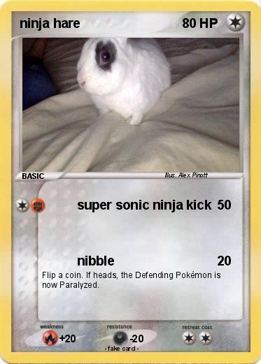 Pokemon ninja hare