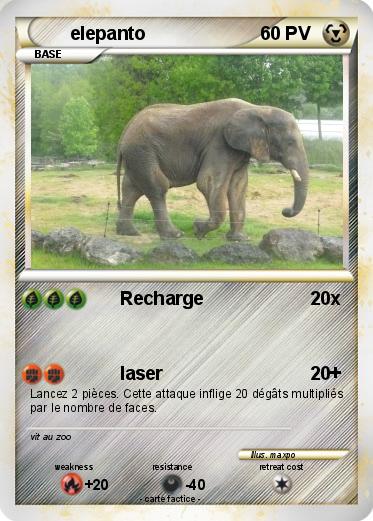 Pokemon elepanto