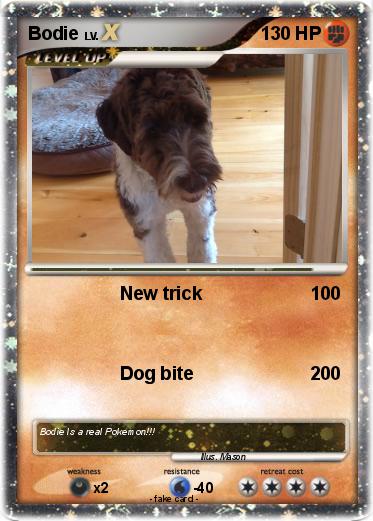 Pokemon Bodie