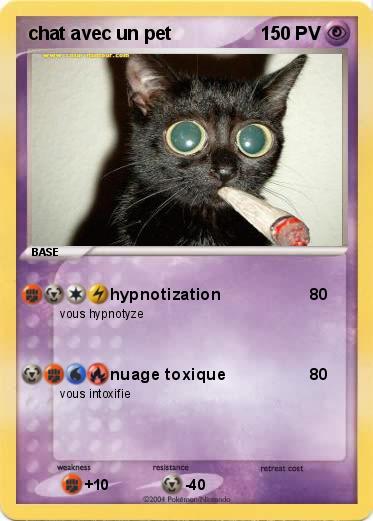 Pokemon chat avec un pet