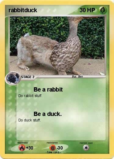 Pokemon rabbitduck