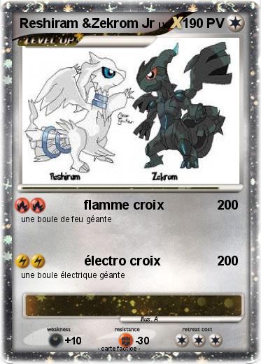 Pokemon Reshiram &Zekrom Jr