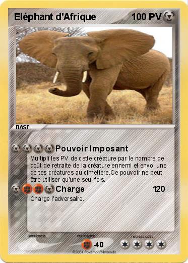 Pokemon Eléphant d'Afrique            