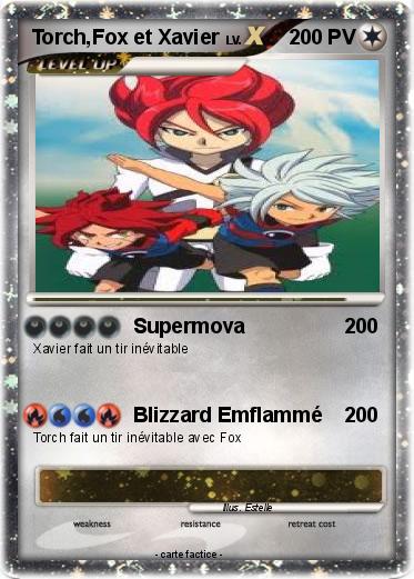 Pokemon Torch,Fox et Xavier
