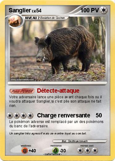 Pokemon Sanglier