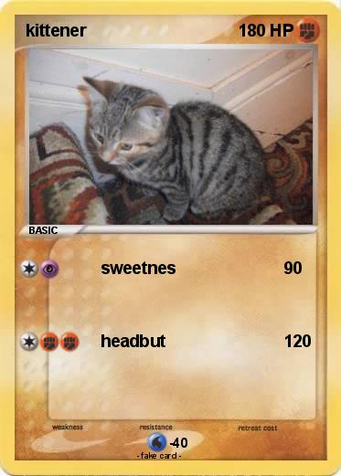 Pokemon kittener