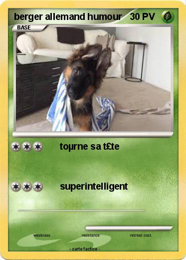 Pokemon berger allemand humour