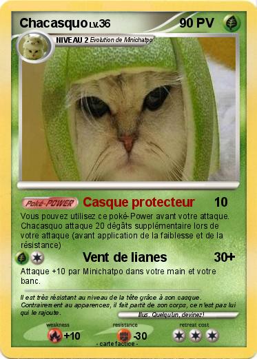 Pokemon Chacasquo