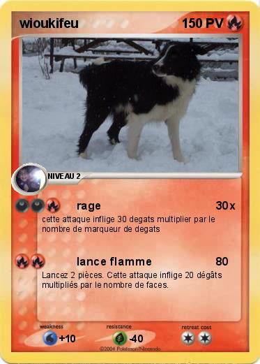Pokemon wioukifeu