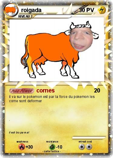 Pokemon roigada