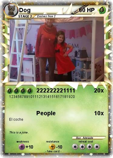 Pokemon Dog