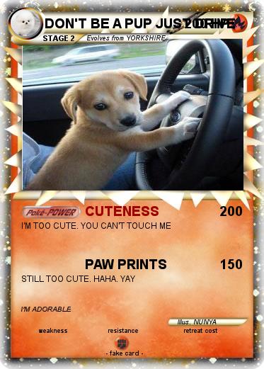 Pokemon DON'T BE A PUP JUST DRIVE
