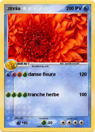 Pokemon zinnia