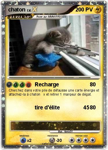 Pokemon chaton