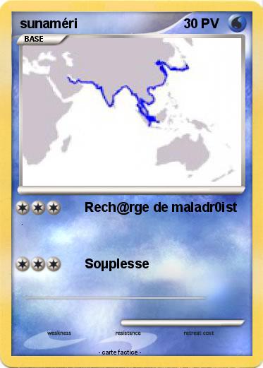 Pokemon sunaméri