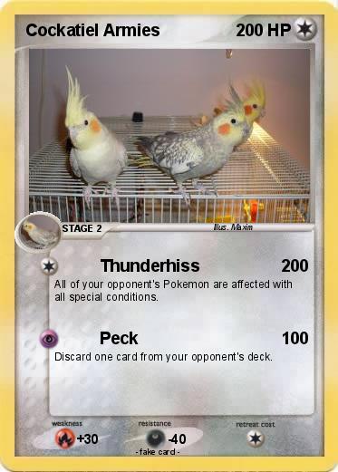 Pokemon Cockatiel Armies