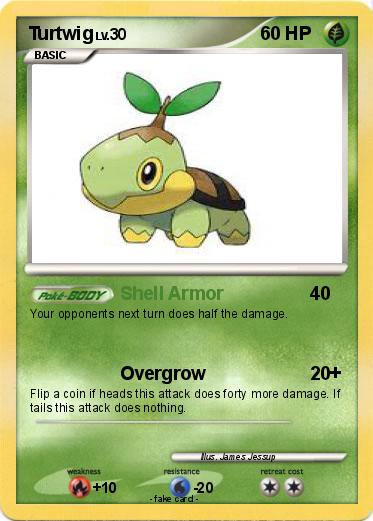 Pokemon Turtwig