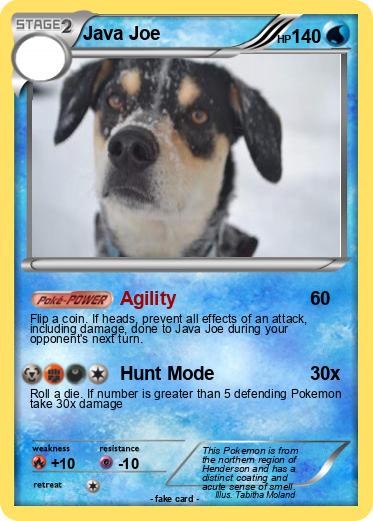 Pokemon Java Joe