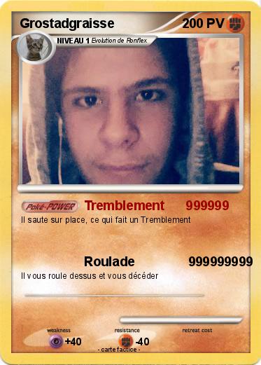 Pokemon Grostadgraisse