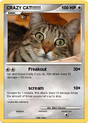 Pokemon CRAZY CAT!!!!!!!