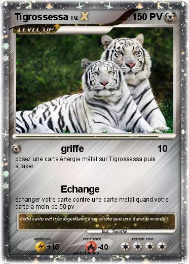Pokemon Tigrossessa