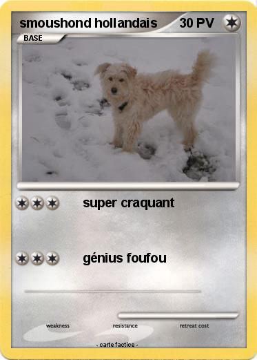 Pokemon smoushond hollandais