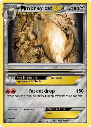 Pokemon money cat