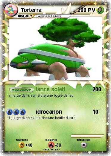 Pokemon Torterra