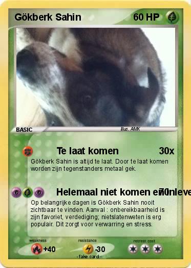 Pokemon Gökberk Sahin
