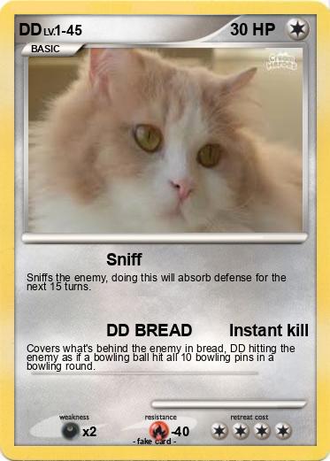 Pokemon DD