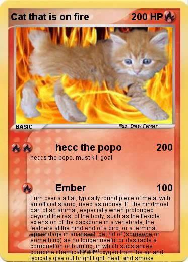 Pokemon Cat that is on fire