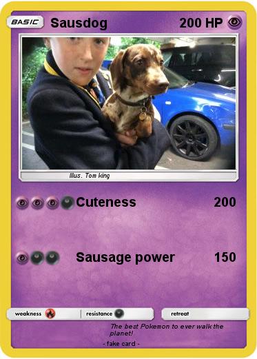 Pokemon Sausdog