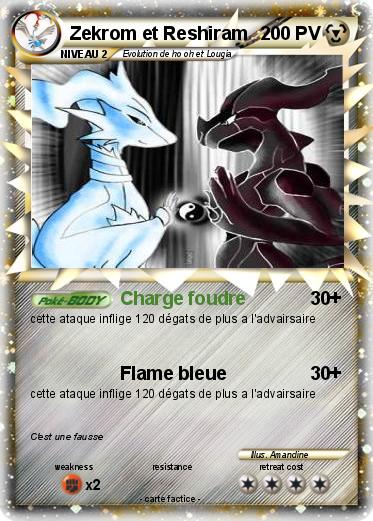 Pokemon Zekrom et Reshiram