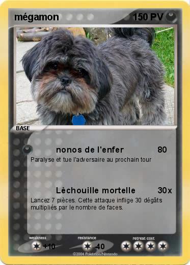 Pokemon mégamon