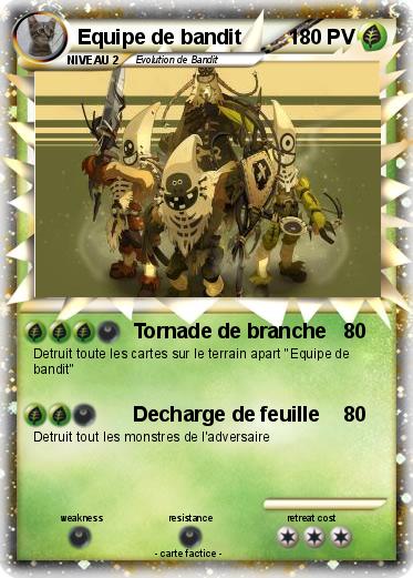 Pokemon Equipe de bandit