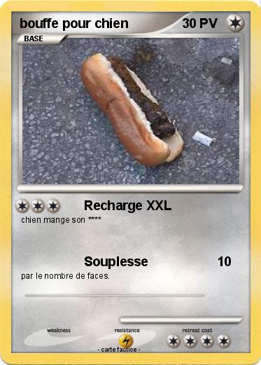 Pokemon bouffe pour chien