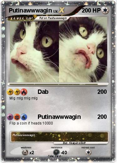 Pokemon Putinawwwagin